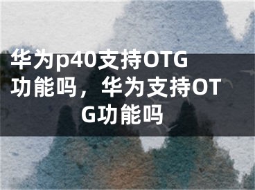 華為p40支持OTG功能嗎，華為支持OTG功能嗎