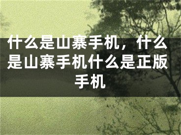 什么是山寨手機，什么是山寨手機什么是正版手機