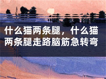 什么貓兩條腿，什么貓兩條腿走路腦筋急轉(zhuǎn)彎