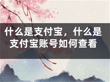 什么是支付寶，什么是支付寶賬號如何查看