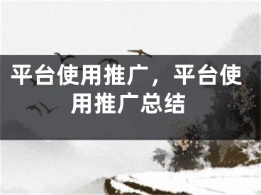 平臺使用推廣，平臺使用推廣總結(jié)