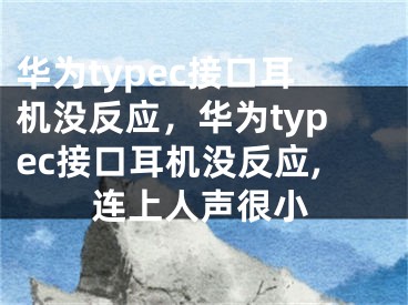 華為typec接口耳機沒反應(yīng)，華為typec接口耳機沒反應(yīng),連上人聲很小