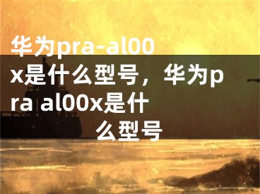 華為pra-al00x是什么型號，華為pra al00x是什么型號