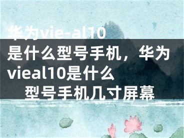 華為vie-al10是什么型號手機，華為vieal10是什么型號手機幾寸屏幕