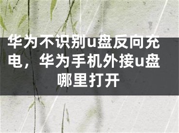 華為不識(shí)別u盤(pán)反向充電，華為手機(jī)外接u盤(pán)哪里打開(kāi)