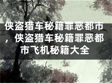 俠盜獵車秘籍罪惡都市，俠盜獵車秘籍罪惡都市飛機(jī)秘籍大全