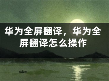 華為全屏翻譯，華為全屏翻譯怎么操作