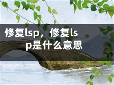 修復(fù)lsp，修復(fù)lsp是什么意思