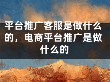 平臺(tái)推廣客服是做什么的，電商平臺(tái)推廣是做什么的