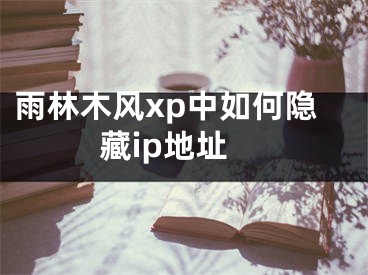 雨林木風xp中如何隱藏ip地址