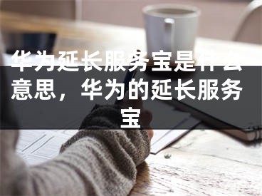 華為延長服務寶是什么意思，華為的延長服務寶