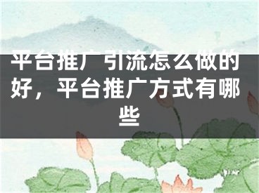 平臺(tái)推廣引流怎么做的好，平臺(tái)推廣方式有哪些