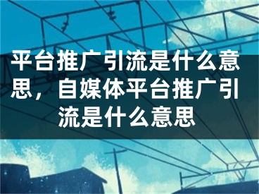 平臺(tái)推廣引流是什么意思，自媒體平臺(tái)推廣引流是什么意思