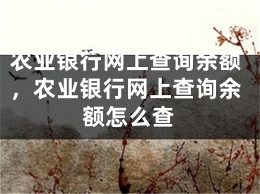 農(nóng)業(yè)銀行網(wǎng)上查詢余額，農(nóng)業(yè)銀行網(wǎng)上查詢余額怎么查