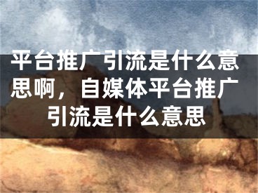 平臺(tái)推廣引流是什么意思啊，自媒體平臺(tái)推廣引流是什么意思