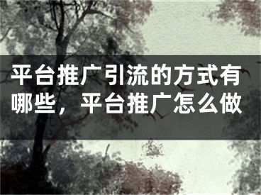 平臺(tái)推廣引流的方式有哪些，平臺(tái)推廣怎么做