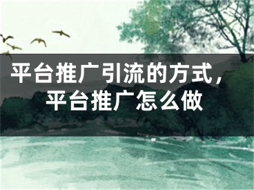 平臺推廣引流的方式，平臺推廣怎么做