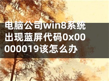 電腦公司win8系統(tǒng)出現(xiàn)藍(lán)屏代碼0x00000019該怎么辦