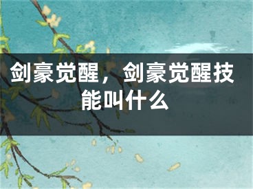 劍豪覺(jué)醒，劍豪覺(jué)醒技能叫什么