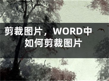 剪裁圖片，WORD中如何剪裁圖片