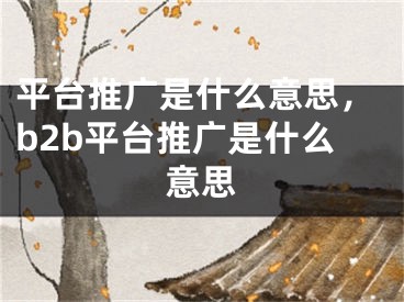 平臺推廣是什么意思，b2b平臺推廣是什么意思