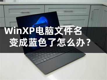 WinXP電腦文件名變成藍(lán)色了怎么辦？