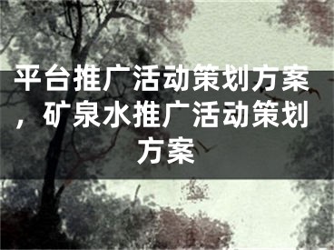 平臺(tái)推廣活動(dòng)策劃方案，礦泉水推廣活動(dòng)策劃方案