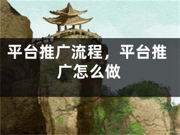 平臺(tái)推廣流程，平臺(tái)推廣怎么做