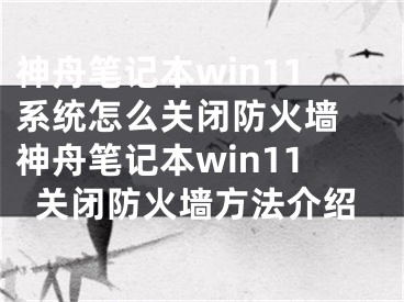 神舟筆記本win11系統(tǒng)怎么關(guān)閉防火墻 神舟筆記本win11關(guān)閉防火墻方法介紹