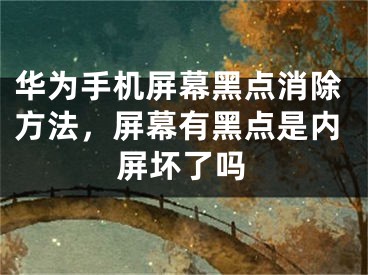 華為手機屏幕黑點消除方法，屏幕有黑點是內(nèi)屏壞了嗎