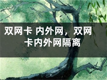 雙網(wǎng)卡 內(nèi)外網(wǎng)，雙網(wǎng)卡內(nèi)外網(wǎng)隔離