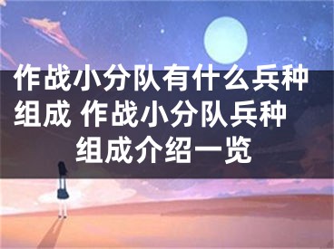 作戰(zhàn)小分隊有什么兵種組成 作戰(zhàn)小分隊兵種組成介紹一覽