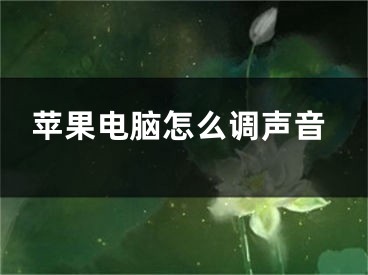 蘋果電腦怎么調(diào)聲音