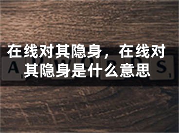 在線對其隱身，在線對其隱身是什么意思