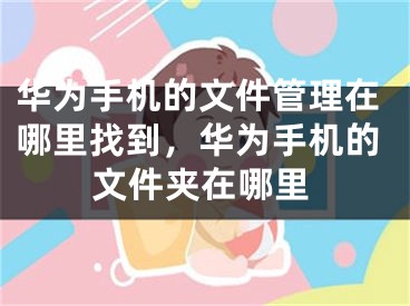 華為手機(jī)的文件管理在哪里找到，華為手機(jī)的文件夾在哪里