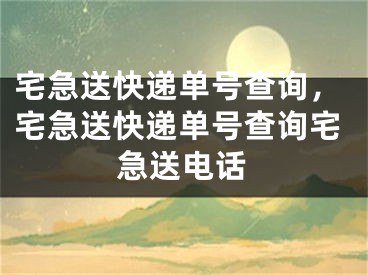 宅急送快遞單號查詢，宅急送快遞單號查詢宅急送電話