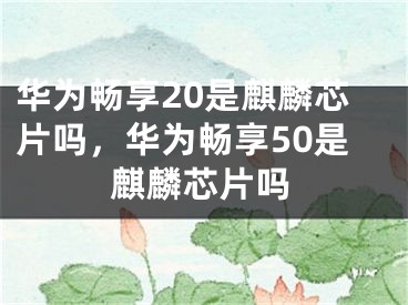 華為暢享20是麒麟芯片嗎，華為暢享50是麒麟芯片嗎