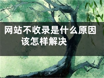 網(wǎng)站不收錄是什么原因 該怎樣解決 