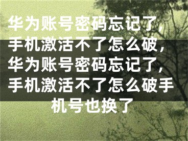 華為賬號密碼忘記了,手機激活不了怎么破，華為賬號密碼忘記了,手機激活不了怎么破手機號也換了