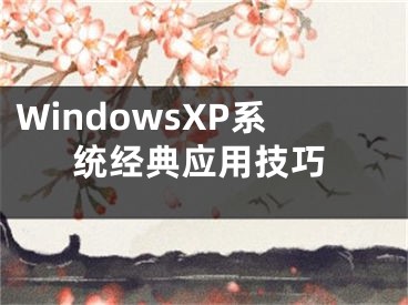 WindowsXP系統(tǒng)經(jīng)典應(yīng)用技巧