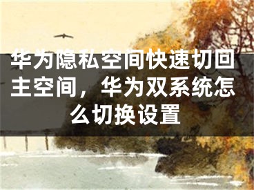 華為隱私空間快速切回主空間，華為雙系統(tǒng)怎么切換設(shè)置