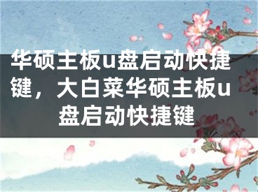 華碩主板u盤啟動快捷鍵，大白菜華碩主板u盤啟動快捷鍵