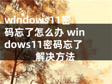 windows11密碼忘了怎么辦 windows11密碼忘了解決方法