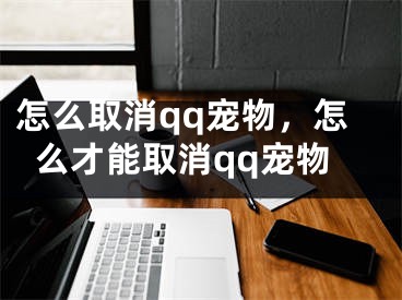 怎么取消qq寵物，怎么才能取消qq寵物