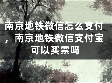 南京地鐵微信怎么支付，南京地鐵微信支付寶可以買票嗎