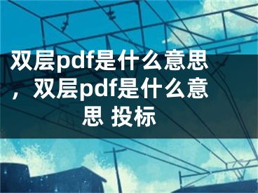 雙層pdf是什么意思，雙層pdf是什么意思 投標(biāo)