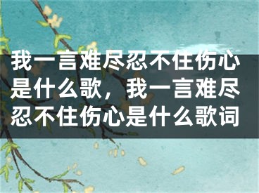 我一言難盡忍不住傷心是什么歌，我一言難盡忍不住傷心是什么歌詞