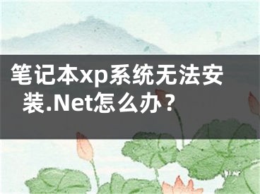 筆記本xp系統(tǒng)無(wú)法安裝.Net怎么辦？