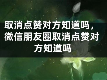 取消點(diǎn)贊對(duì)方知道嗎，微信朋友圈取消點(diǎn)贊對(duì)方知道嗎