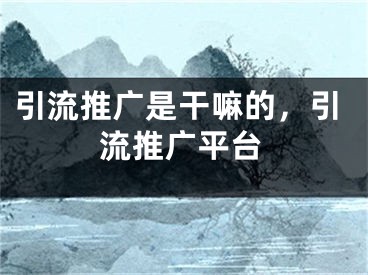 引流推廣是干嘛的，引流推廣平臺